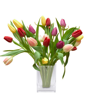 tulips