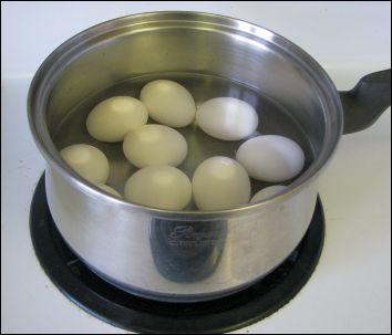 boil-an-egg